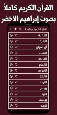 القران ابراهيم الاخضر بدون نت android App screenshot 3